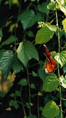 Aufkleber - A vibrant orange monarch butterfly fluttering near a flowering vine in the soft rainforest light.
