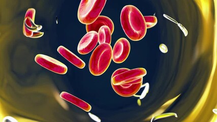 Poster - A stylized microscopic perspective of blood cells and plasma, showing their rhythmic movement and occasional white blood cells passing by.
