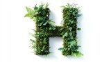 Letter H made of green grass and leaves.
