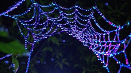 Poster - A glowing neon spiderweb in the jungle at night, with drops of dew refracting multicolored light like tiny prisms.
