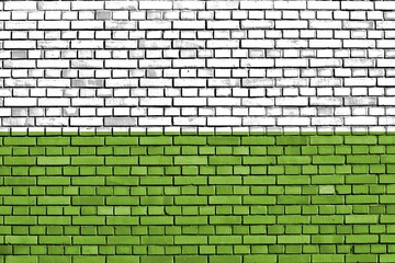 Flag of La Guajira painted on brick wall