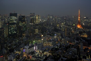 view from the mori-tower to the city illuminated at night with the tokyo tower, rappongi hills, toky
