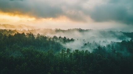 Poster - Amidst the serene countryside, a vibrant forest stretches below a rich tapestry of clouds. Mist rolls gently over the treetops, while soft rays of sunlight emerge, creating an enchanting atmosphere