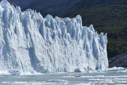 Glacier tongue, Glaciar Perito Moreno Glacier, Abort edge, Los Glaciares National Park, Andes, El Calafate, Santa Cruz, Patagonia, Argentina, South America