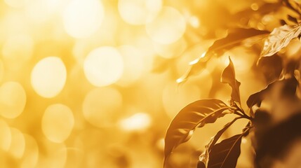 Poster - a golden bokeh effect with soft, glowing circles creating a dreamy and elegant background.