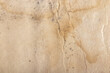 © Lyalya Go - Wrinkled paper with dirty stains and mold abstract textured vintage background