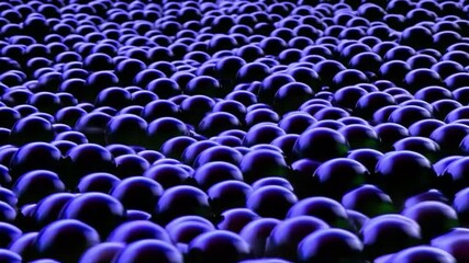 Wall Mural - Create a mesmerizing animation of black balls filling the space, moving rhythmically in wave patterns like a cosmic dance. 