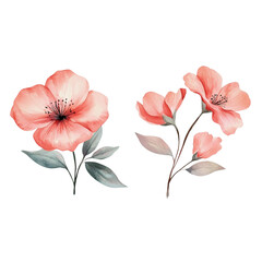 Wall Mural - Delicate pink flowers with green leaves create serene atmosphere