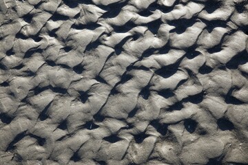 Aufkleber - Ripples in the sand in the mudflats at low tide, North Sea coast, Schleswig-Holstein, Germany, Europe