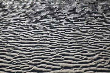 Aufkleber - Ripples in the sand in the mudflats at low tide, North Sea coast, Schleswig-Holstein, Germany, Europe