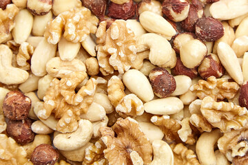 close-up of a mixed assortment of shelled nuts including walnuts, cashews, almonds, and hazelnuts. p