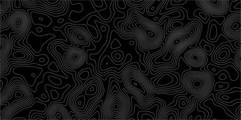 Poster - abstract white on black background with topographic line map pattern. abstract wavy and curved lines