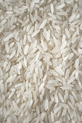 Wall Mural - close up of rice