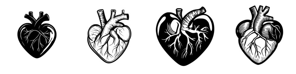 Poster - Illustration of various heart designs showcasing anatomical features in a stylized manner