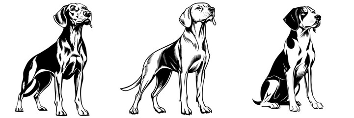 Poster - Stylized illustrations of three different dog breeds showcasing their unique features and postures in a dynamic composition