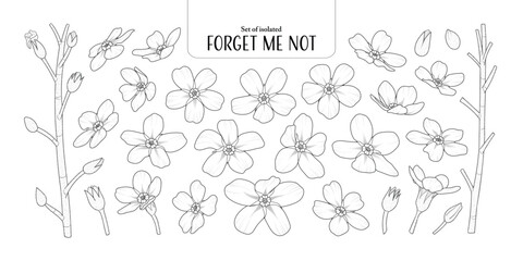 Wall Mural - Set of isolated Forget Me Not, Scorpion grasses. Cute flower illustration in hand drawn style. Black outline and white plain on a transparent background.