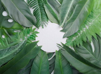 Poster - Lush green tropical leaves arranged in a circle, surrounding a blank white space. Perfect for showcasing products or designs.