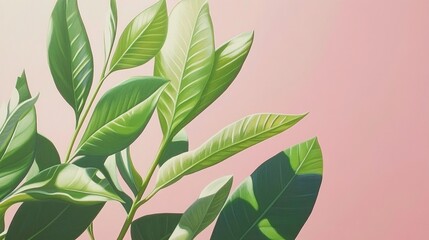 Wall Mural - Lush green leaves against a soft pink background.