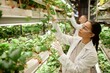 © Seventyfour - Female scientist wearing lab coat and safety glasses examining and adjusting plants in indoor vertical farm. Assisting another scientist in managing rows of greenery without natural light