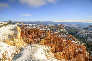 Wall Mural - View of the amphitheatre in the morning light, snow-covered bizarre rocky landscape with Hoodoos in winter, Rim Trail, Bryce Canyon National Park, Utah, USA, North America