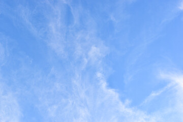 Wall Mural - beautiful blue sky and white fluffy group of clouds with sunrise in the morning, natural background