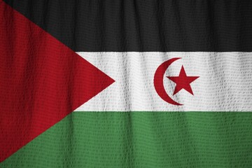 Poster - Closeup of Ruffled Sahrawi Arab Democratic Republic Flag, Sahrawi Arab Democratic Republic Flag Blowing in Wind