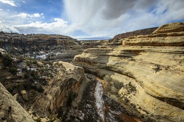 Wall Mural - Bick into Deer Canyon near Sipapu Bridge, Natural Bridges National Monument, Utah, USA, North America