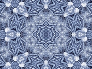 Poster - Background with abstract radial pattern of natural large dandelion flower