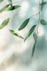 Poster - A frosted glass surface features delicate silhouettes of eucalyptus and bamboo leaves glowing softly in warm natural light, creating a peaceful and serene atmosphere that connects to nature