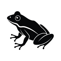 frog on a white background