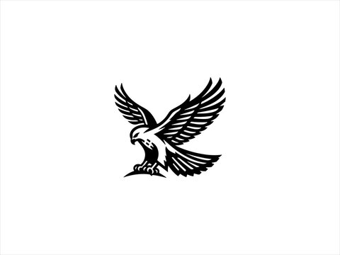 eagle logo vector design