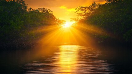 Poster - A picturesque mangrove landscape during sunset, with golden rays illuminating the trees and water, creating a tranquil and magical atmosphere