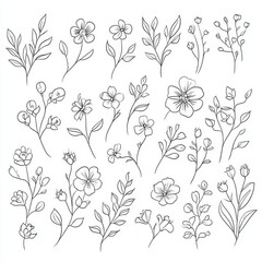 Wall Mural - Hand-drawn peony flower icons, designed for contemporary web use