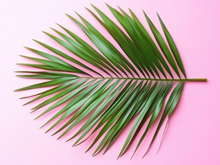fresh green tropical leaves for decorative purposes or symbolic significance.