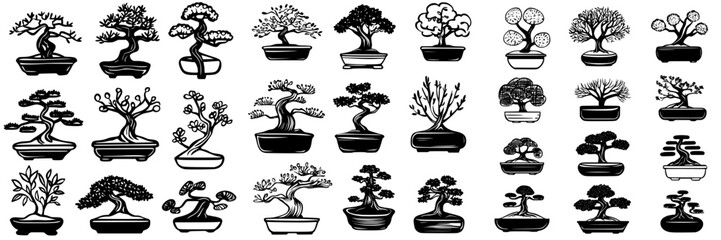 Poster - Bonsai trees in various styles showcasing a blend of nature and artistry in a minimalistic design