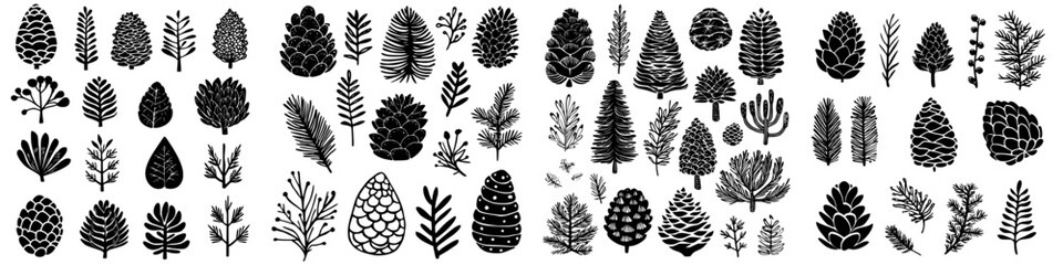 Poster - Discover diverse pine cones and foliage in a striking black and white design highlighting nature's beauty and complexity