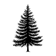 Poster - Stylized silhouette of a pine tree on a blank background for artistic and design purposes