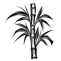 Poster - Natural bamboo plant illustration featuring detailed textures and elegant structure for artistic purposes