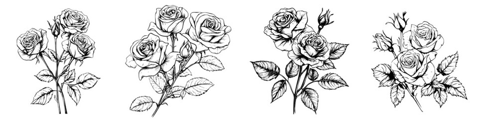 Wall Mural - Black and white sketch of roses showcasing different styles and arrangements for artistic inspiration