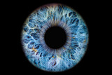 Close up of eye iris on black background, macro, photography