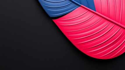 Abstract Minimalism: A close-up shot of two abstract shapes in bold pink and blue against a black backdrop.