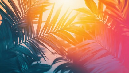 Poster - Vibrant palm fronds backlit by sunset, creating a warm, tropical aesthetic.