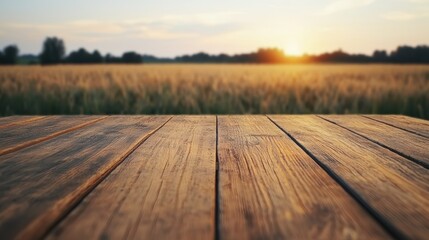 Poster - Empty wooden table with blurred wheat field background at sunset