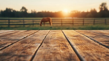 Poster - Rustic wooden table overlooking horse grazing in sunlit farm at sunset