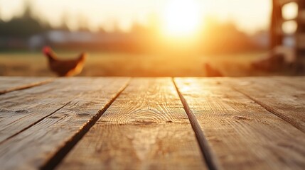 Poster - Wooden table in barn with blurred chickens and warm sunlight