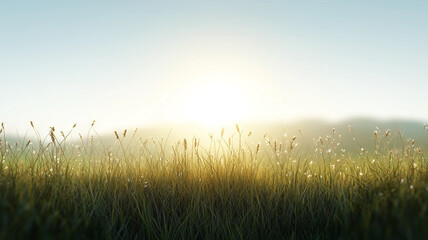 Poster - serene meadow with soft sunlight and dewy grass, evoking peaceful and tranquil atmosphere