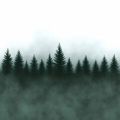 Misty forest trees, nature background, calm scene, website design