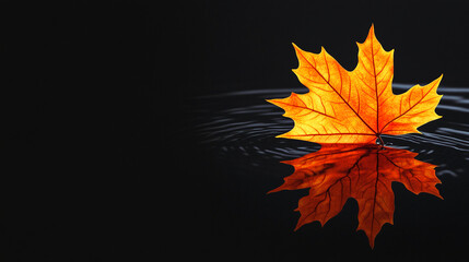 Poster - A vibrant orange maple leaf floating on water with its reflection, symbolizing the beauty of autumn and the calmness of nature, captured in a serene moment of tranquility.