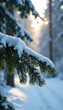 © retirementfun - Fir tree branch stretching out from a snowy forest, trees, snowcovered