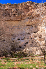 Wall Mural - A rocky cliff with a tree growing out of it